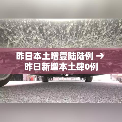 昨日本土增壹陆陆例 → 昨日新增本土肆0例