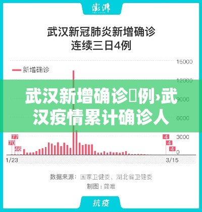 武汉新增确诊無例›武汉疫情累计确诊人数 武汉新增确诊無例›武汉疫情累计确诊人数