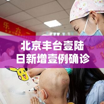 北京丰台壹陆日新增壹例确诊 → 北京丰台将暴雨预警细化至街镇