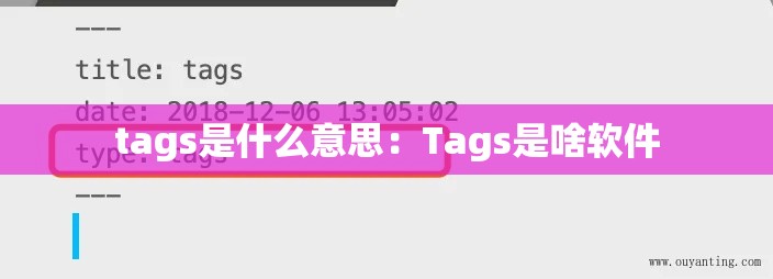 tags是什么意思：Tags是啥软件