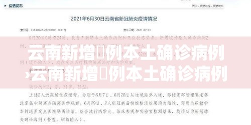 云南新增無例本土确诊病例›云南新增無例本土确诊病例详细情况公布