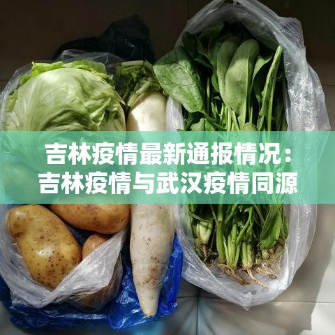 吉林疫情最新通报情况：吉林疫情与武汉疫情同源