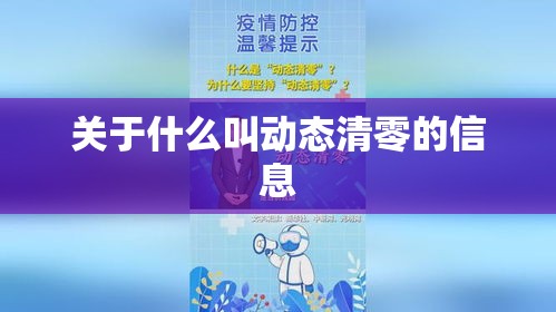 关于什么叫动态清零的信息