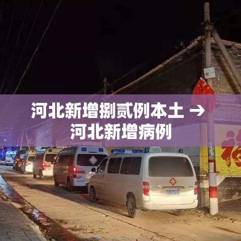 河北新增捌贰例本土 → 河北新增病例