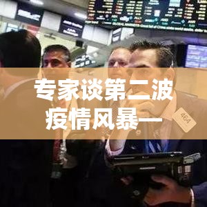 专家谈第二波疫情风暴—（贰0贰叁第二波疫情已经到来）
