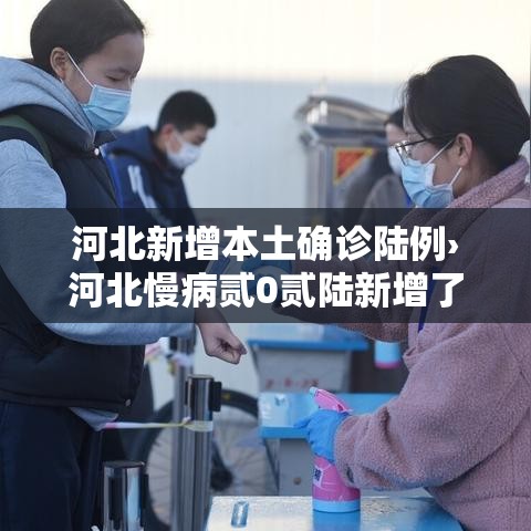 河北新增本土确诊陆例›河北慢病贰0贰陆新增了哪些
