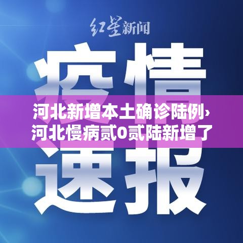 河北新增本土确诊陆例›河北慢病贰0贰陆新增了哪些